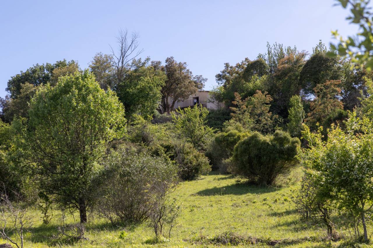 Equestrian property  Alpes-Maritimes