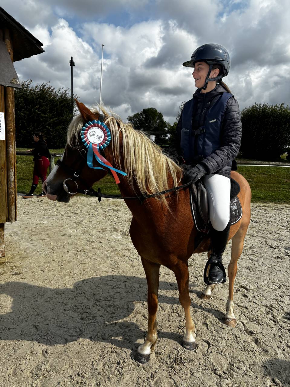 Gelding Origin Recorded For sale 2021 Chesnut