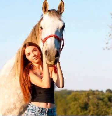 Mare Anglo-Arabian For sale 2015 Grey