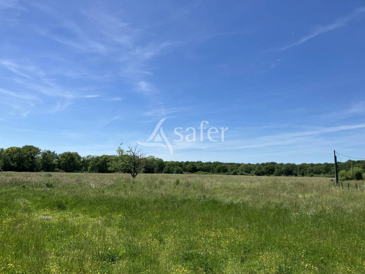 Other agricultural property  Loiret