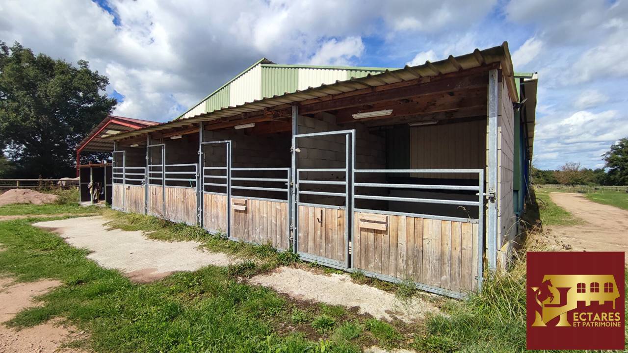 Equestrian Bed and Breakfast  Sa&ocirc;ne-et-Loire