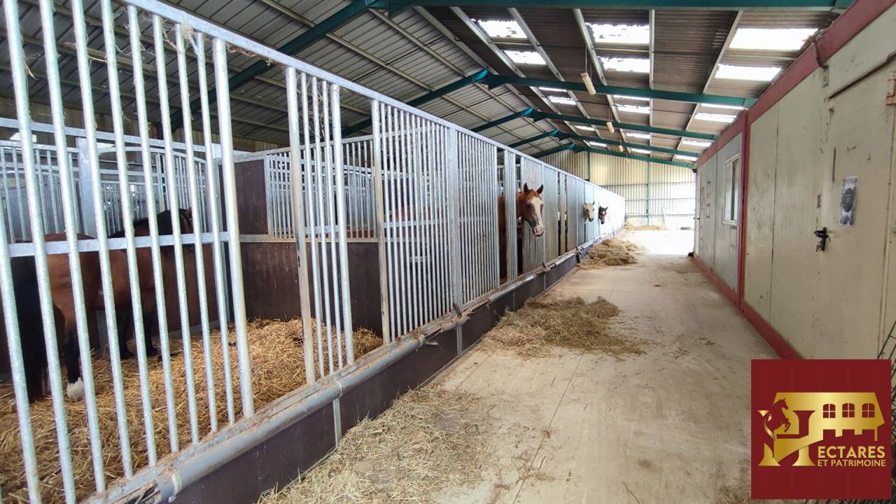 Equestrian Bed and Breakfast  Sa&ocirc;ne-et-Loire
