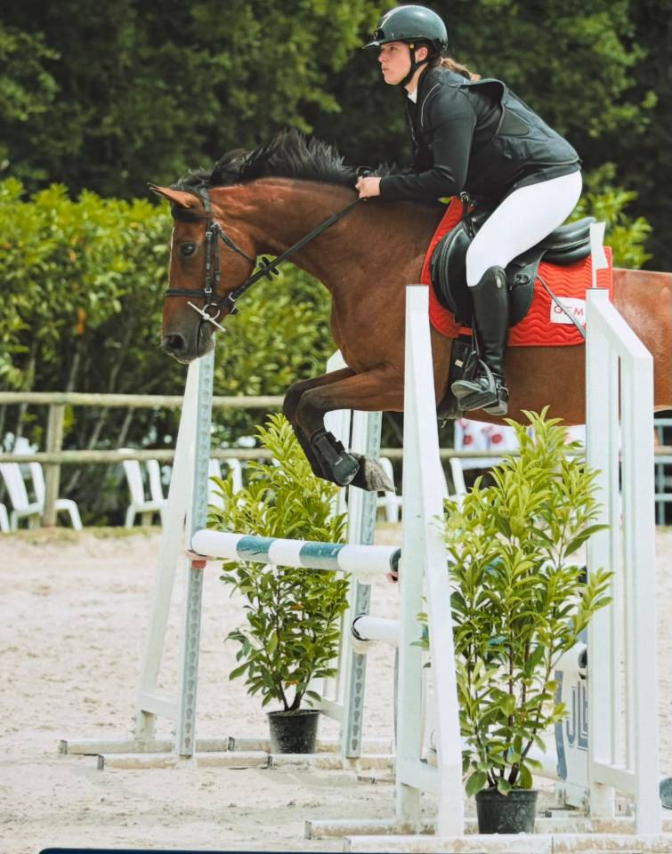 Mare French Saddle Pony For sale 2021 Bay