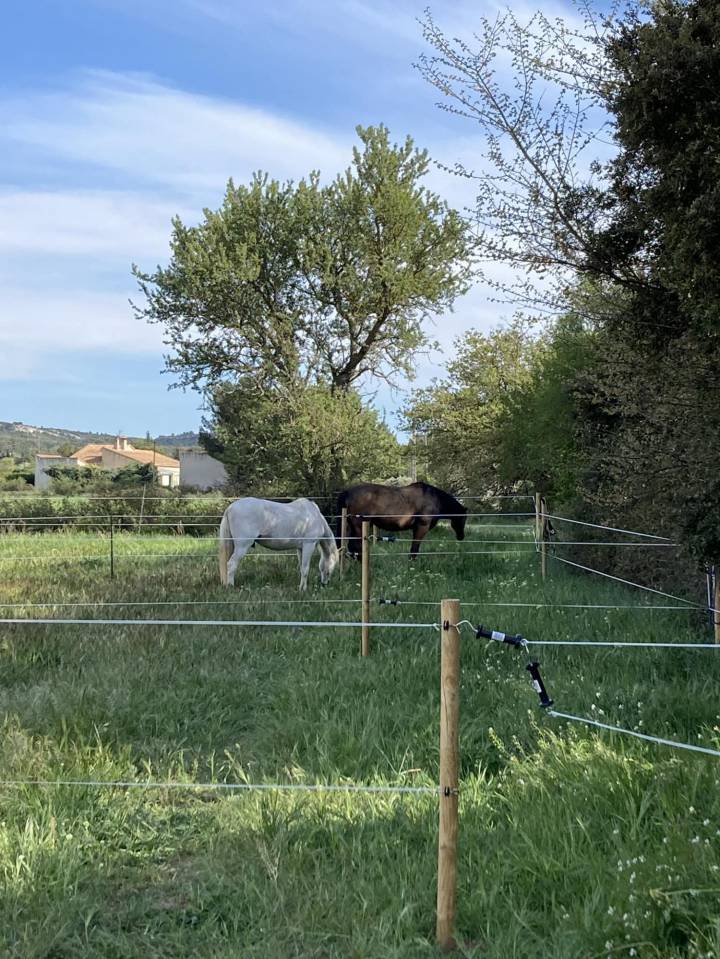 Equestrian Bed and Breakfast  Bouches-du-Rh&ocirc;ne