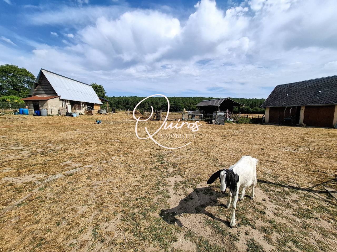 Equestrian property  Seine-Maritime