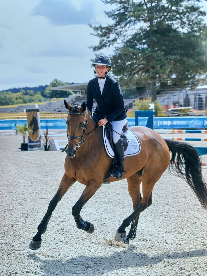 Mare Selle Fran&ccedil;ais For sale 2019 Bay