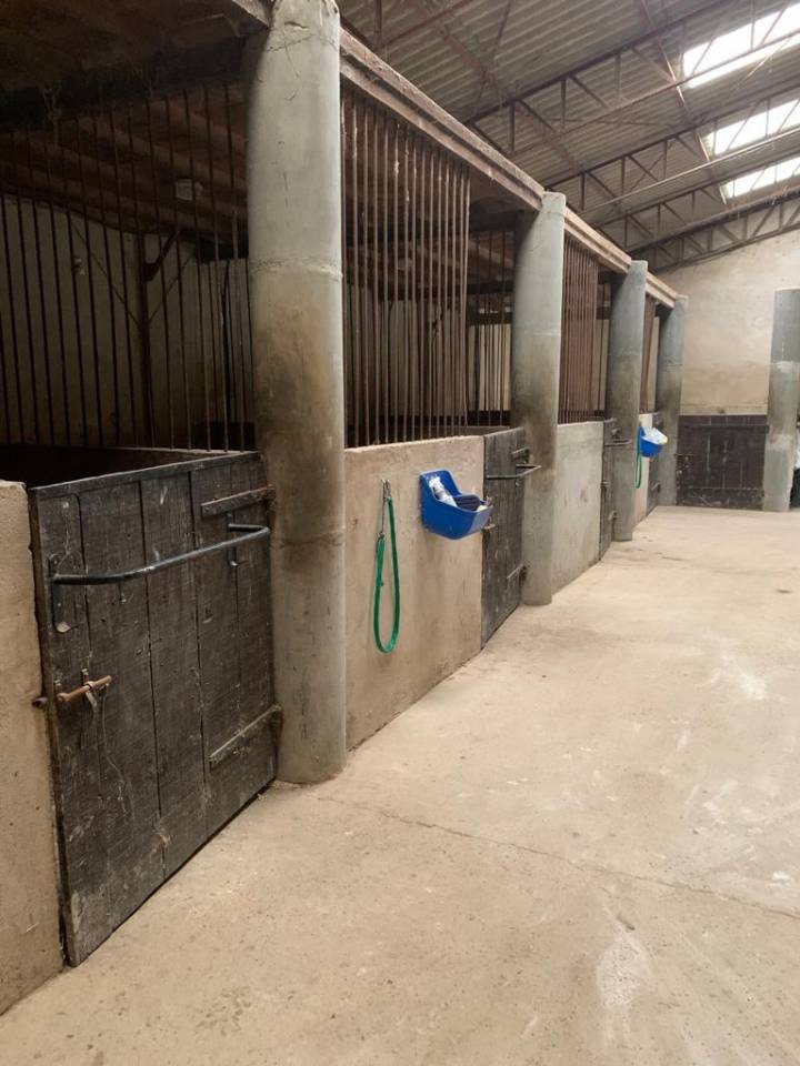 Equestrian property  Lot-et-Garonne