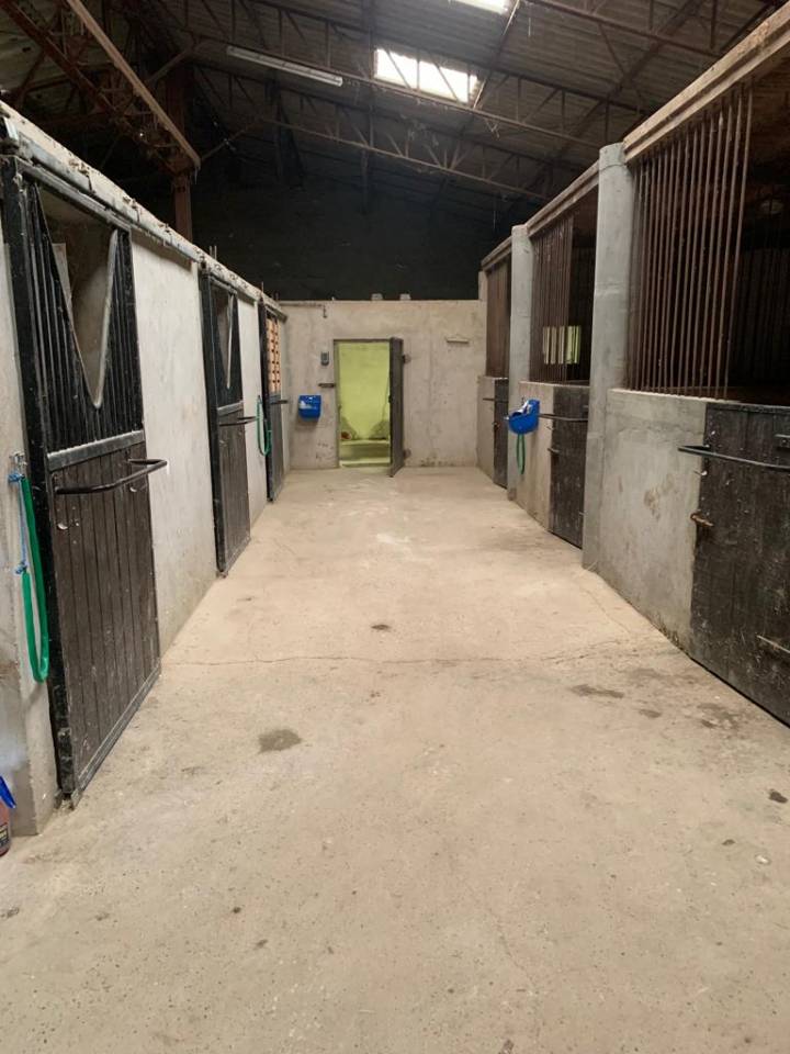 Equestrian property  Lot-et-Garonne