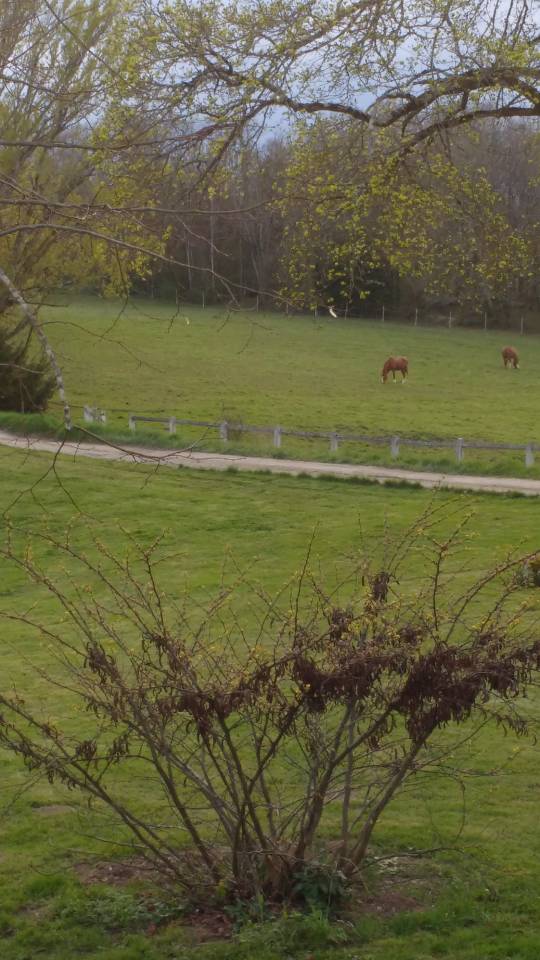 Equestrian property  Lot-et-Garonne
