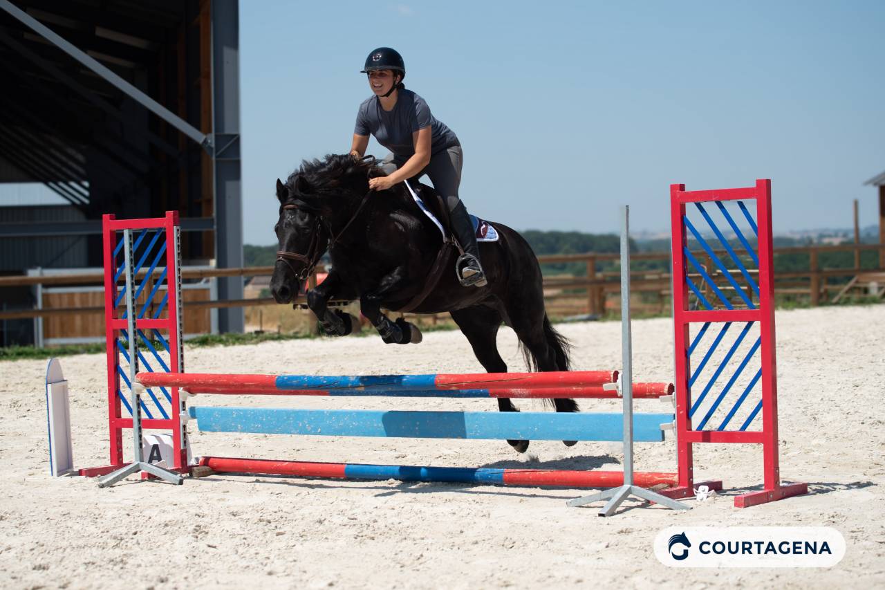 Mare M&eacute;rens For sale 2019 Black