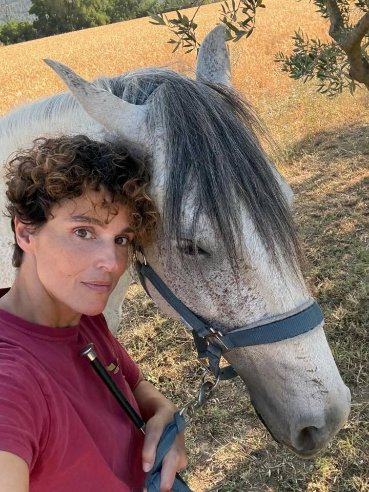 Gelding Lusitano For sale 2019 Grey