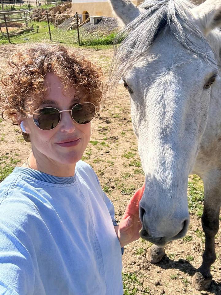 Gelding Lusitano For sale 2019 Grey