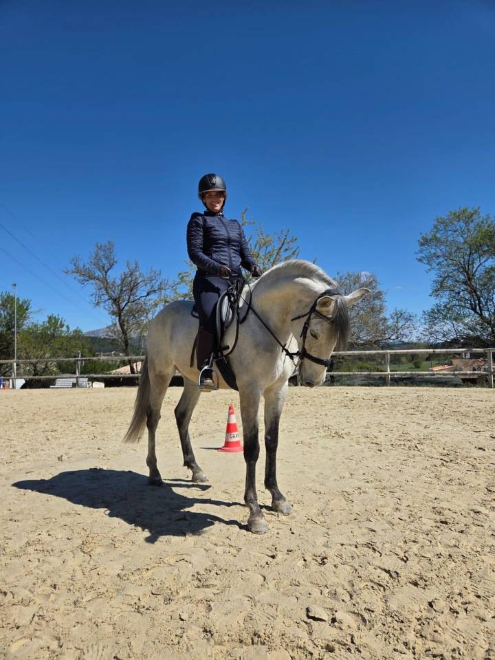 Gelding Lusitano For sale 2019 Grey