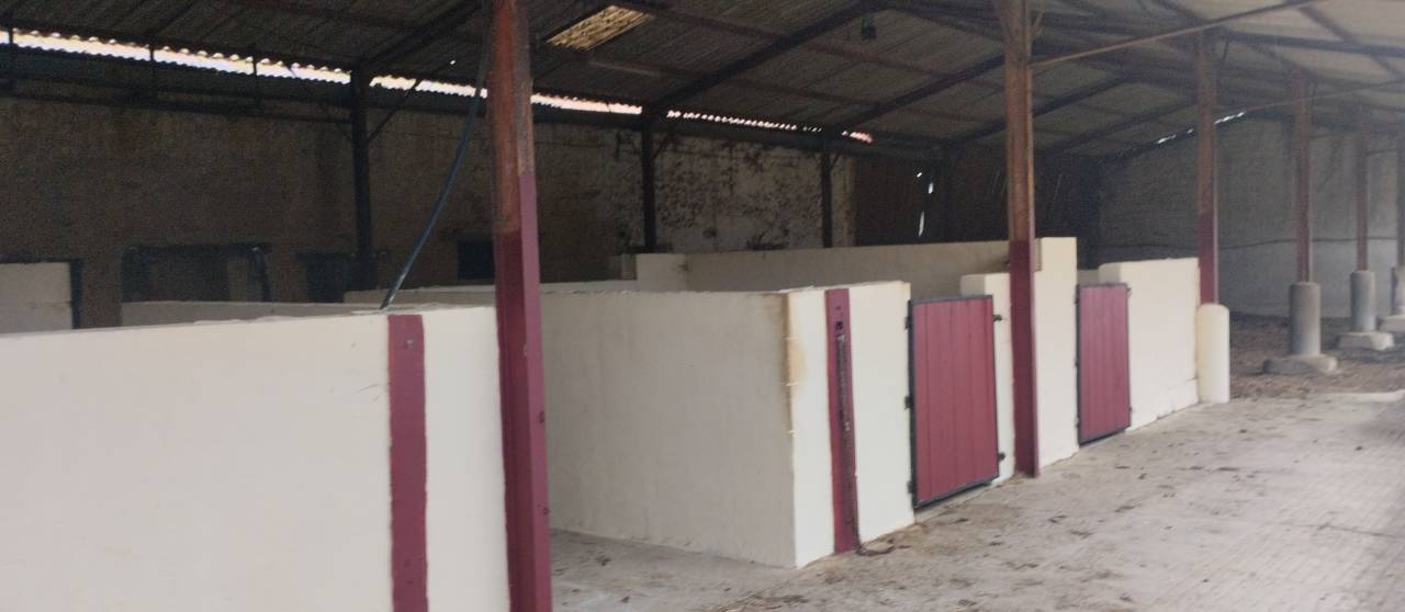 Luxurious equestrian property  Landes