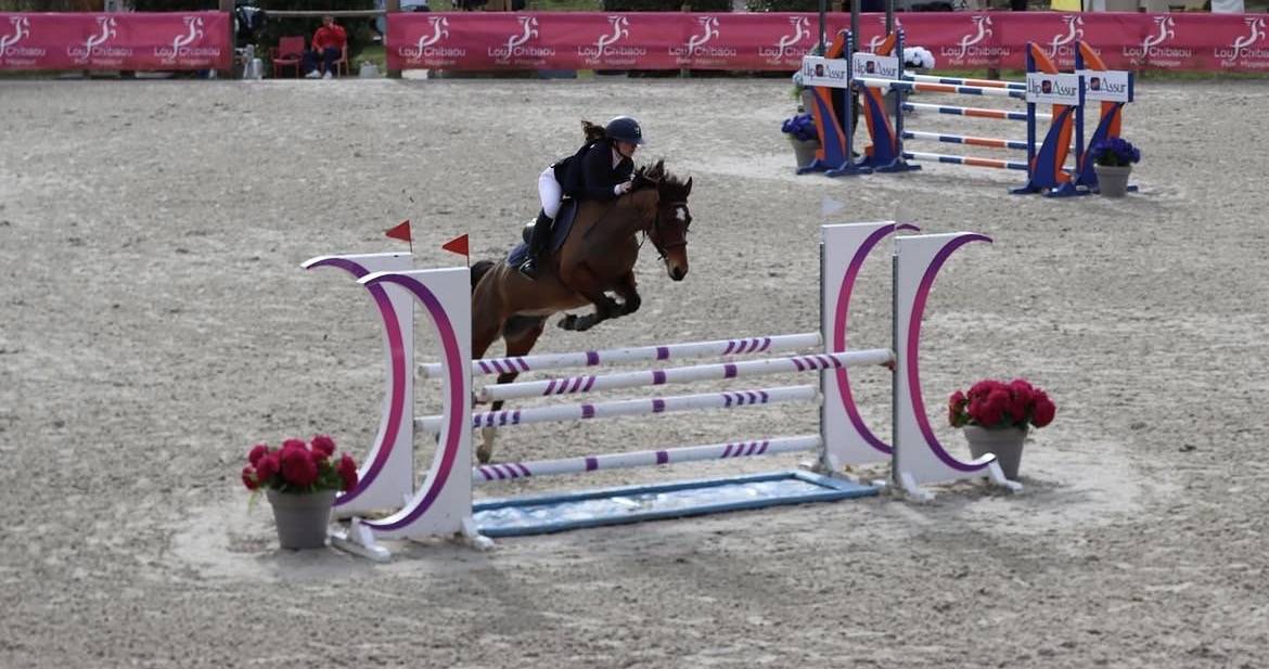 Mare French Saddle Pony For sale 2015 Bay