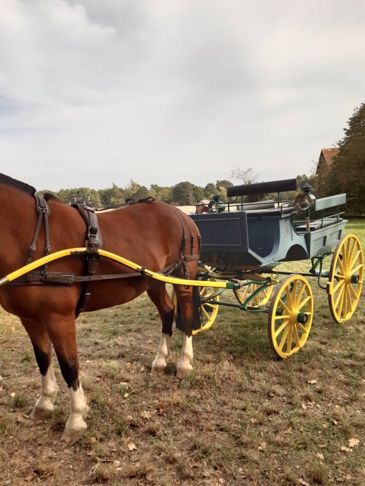 Carriage - Charabanc - Other brand - Phaeton 