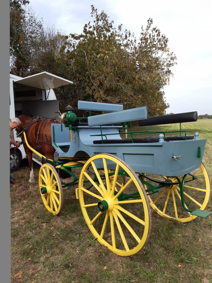 Carriage - Charabanc - Other brand - Phaeton 