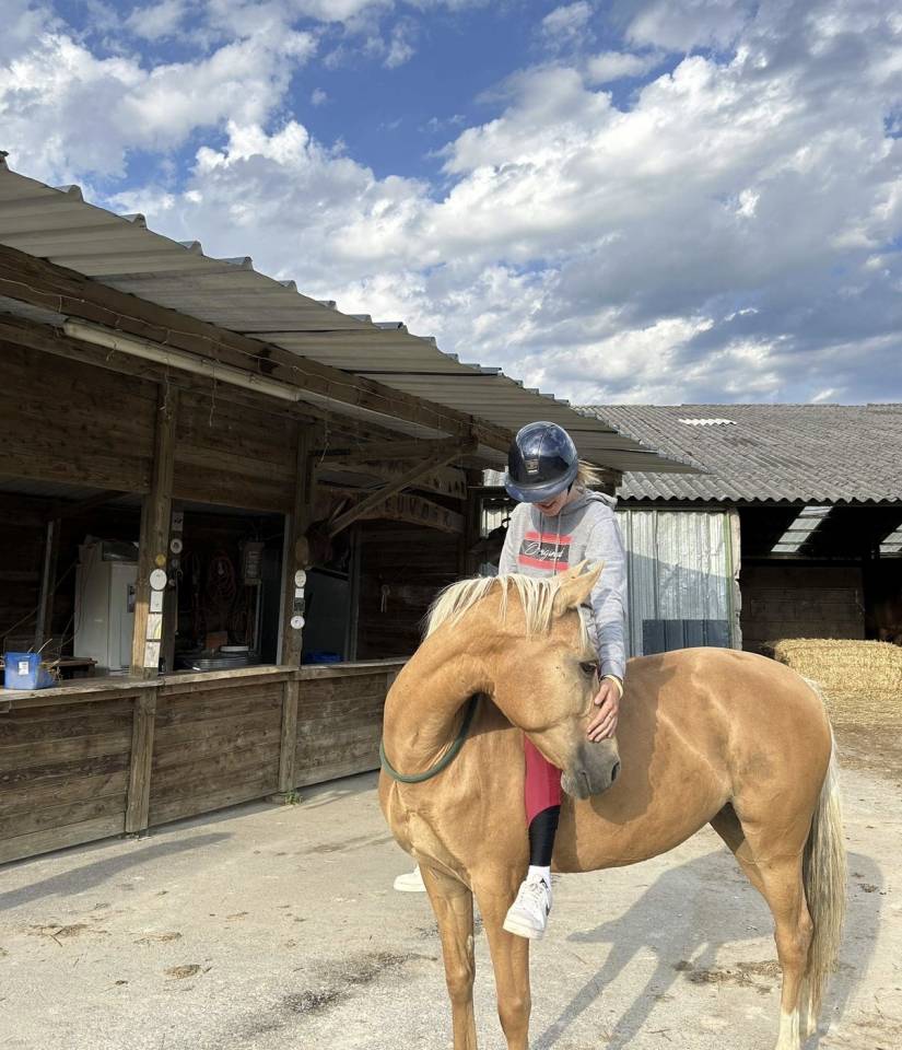 Mare Dutch Riding Pony For sale 2015 Palomino