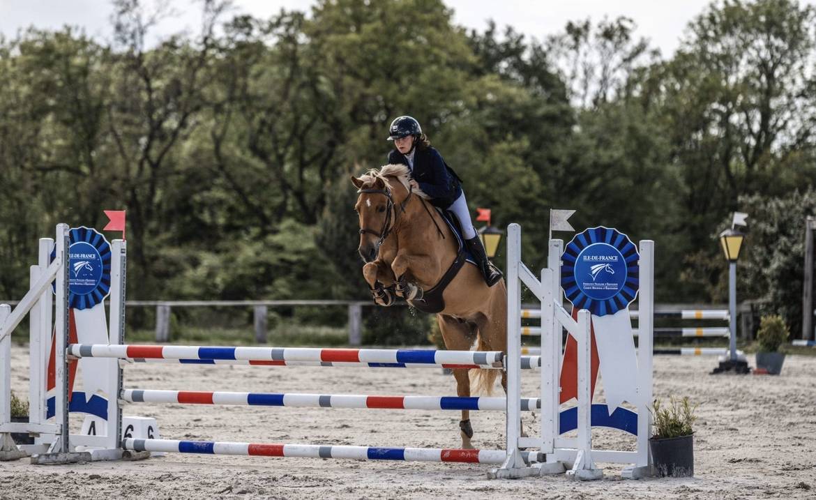 Gelding French Saddle Pony For loan 2012 Silver dapple