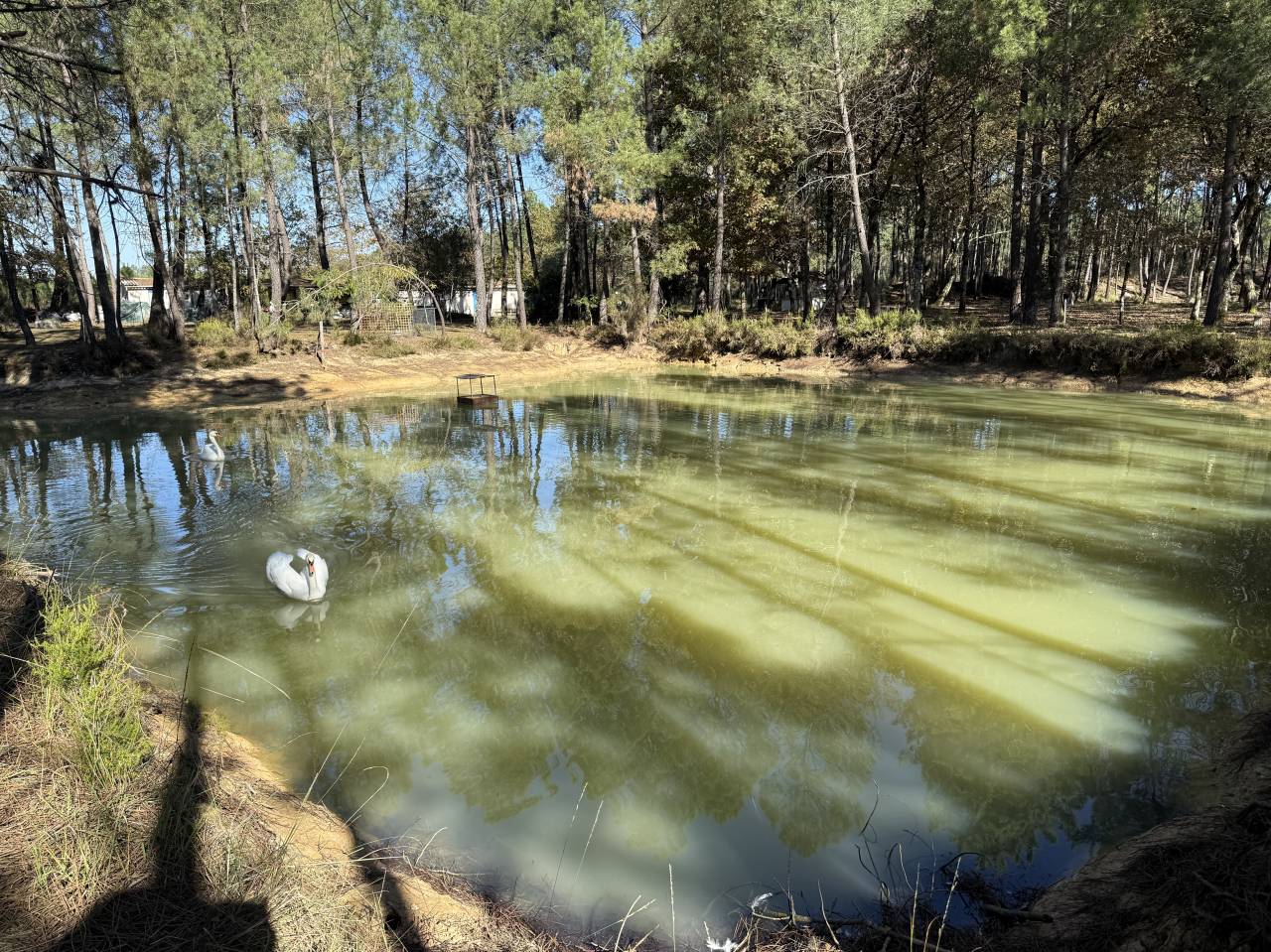 Other country property  Gironde