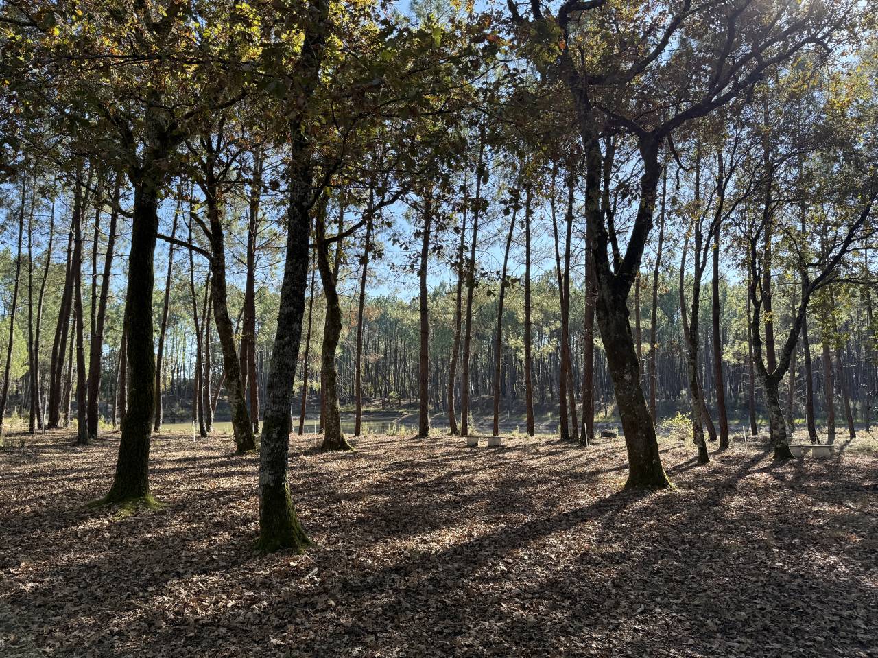 Other country property  Gironde