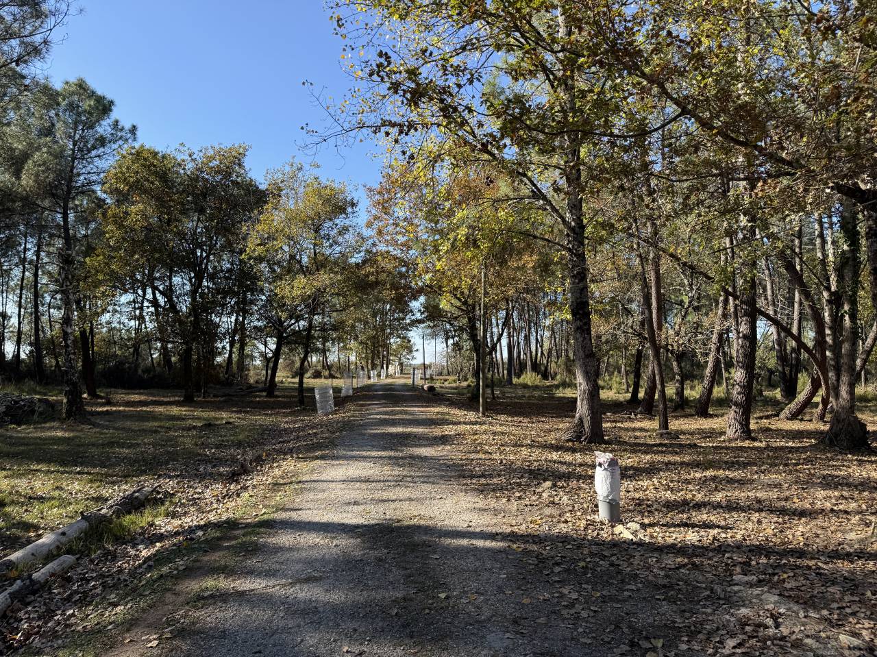 Other country property  Gironde