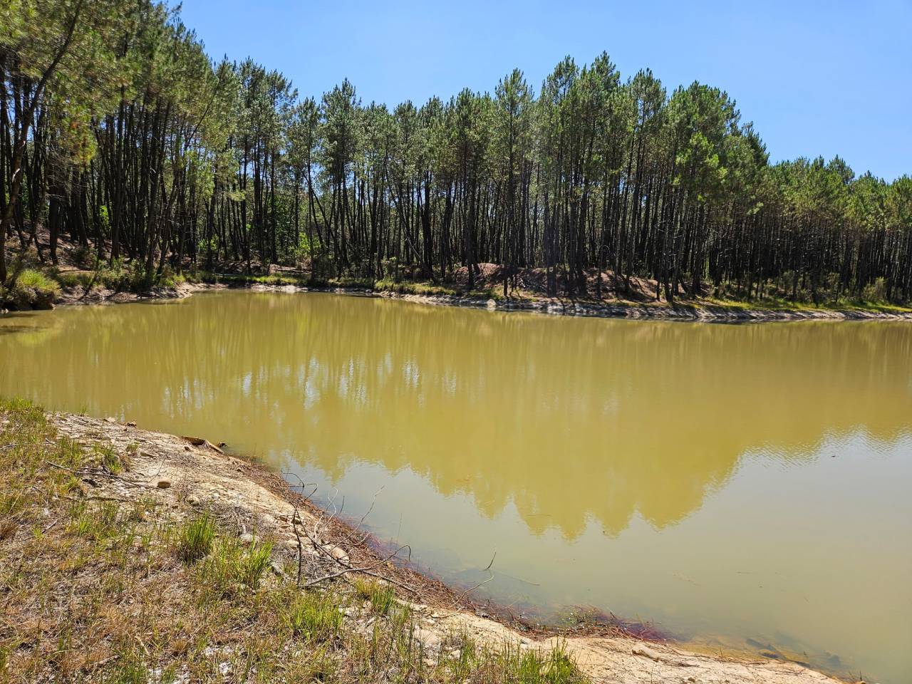 Other country property  Gironde