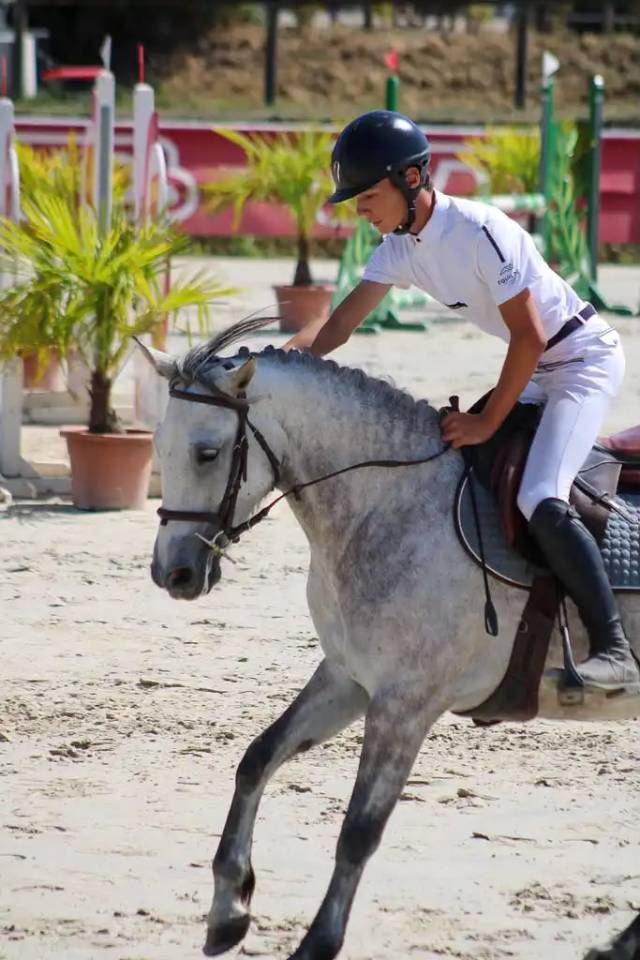 Mare Origin Recorded For sale 2020 Grey