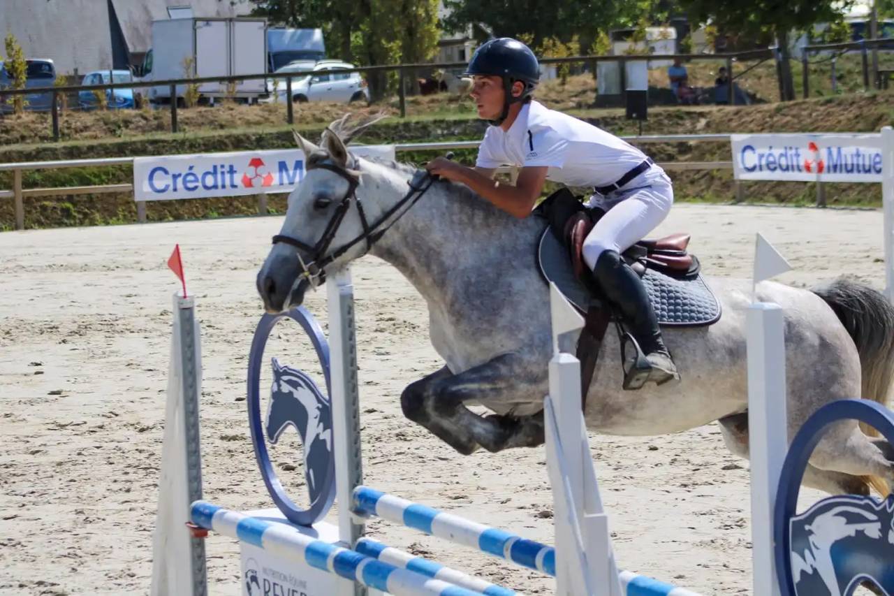 Mare Origin Recorded For sale 2020 Grey