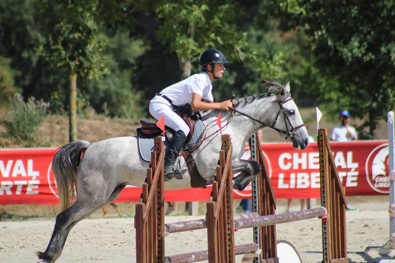 Mare Origin Recorded For sale 2020 Grey