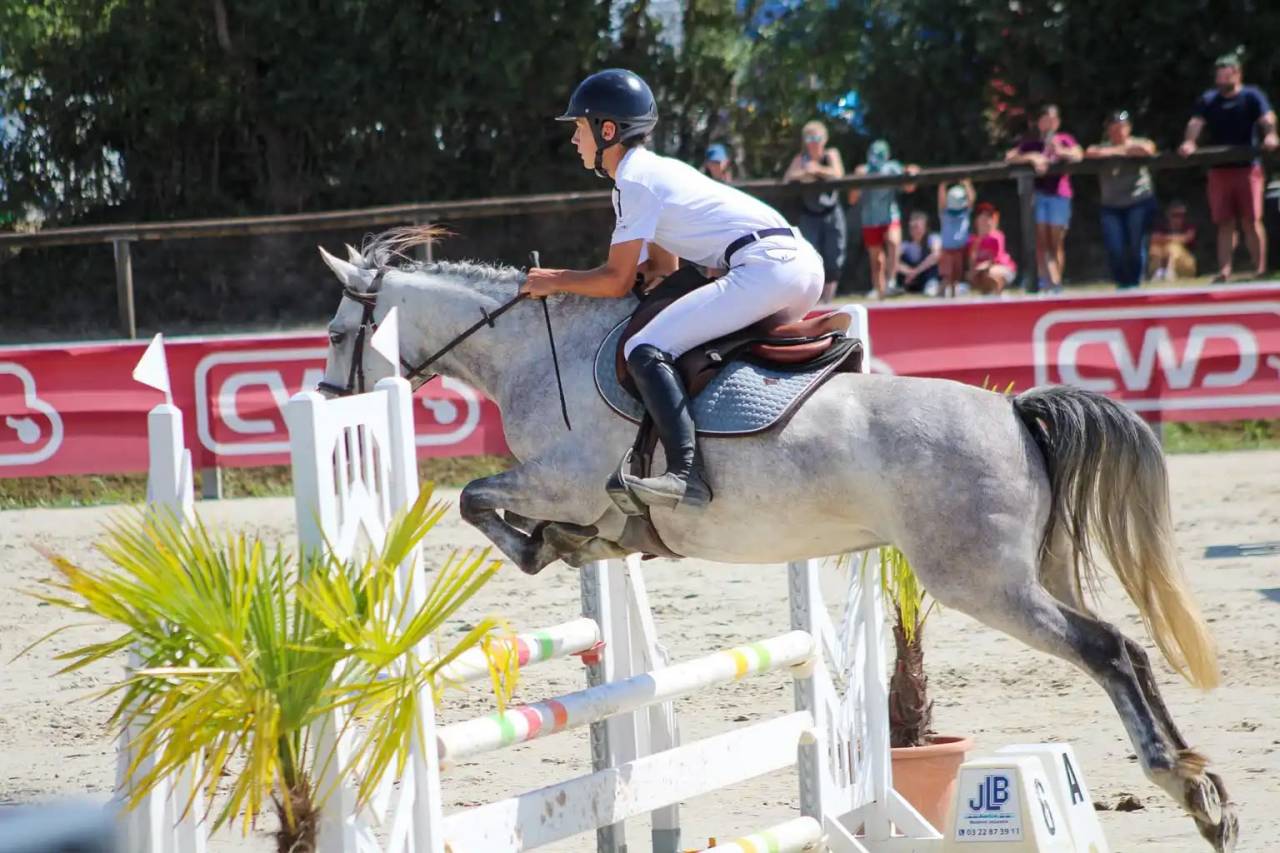 Mare Origin Recorded For sale 2020 Grey