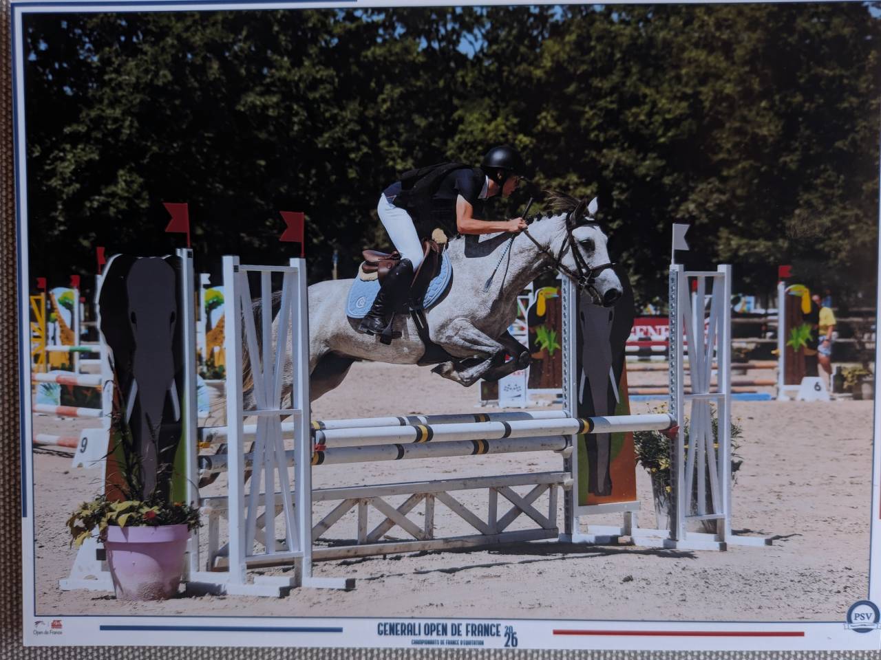 Mare Origin Recorded For sale 2020 Grey