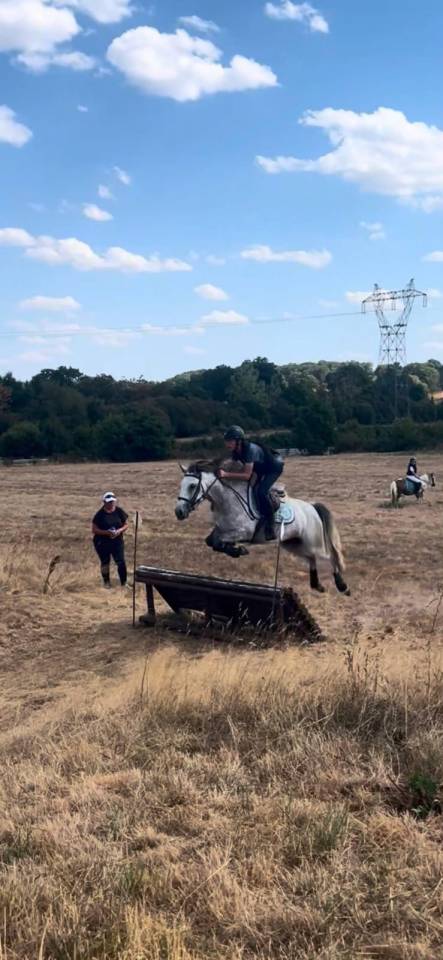 Mare Origin Recorded For sale 2020 Grey