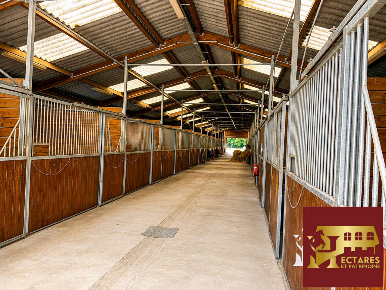 Equestrian Bed and Breakfast  Maine-et-Loire