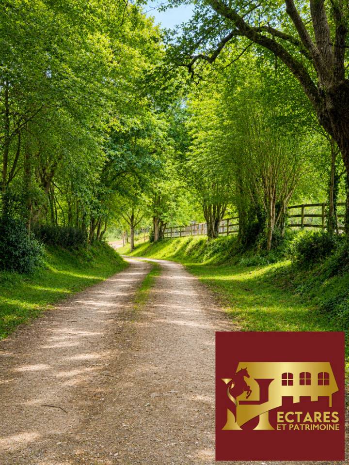 Equestrian Bed and Breakfast  Maine-et-Loire