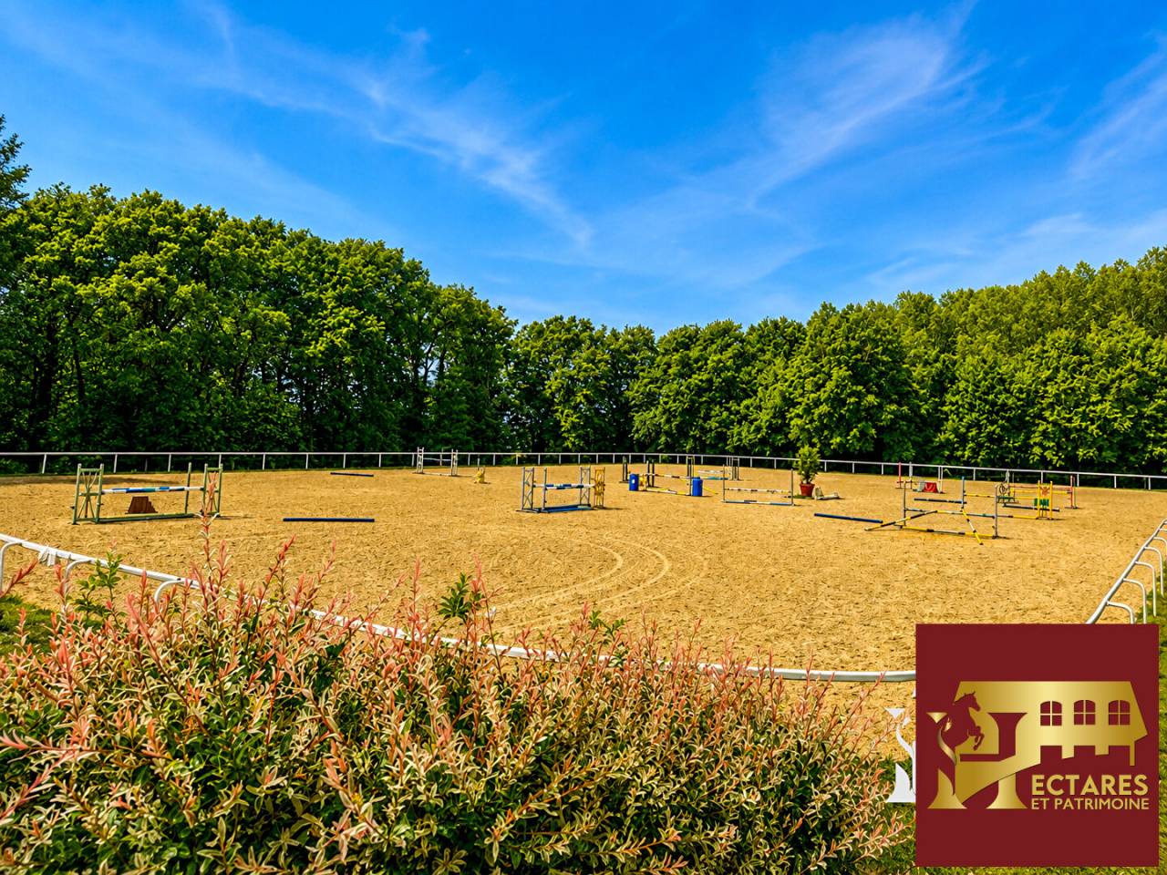 Equestrian Bed and Breakfast  Maine-et-Loire