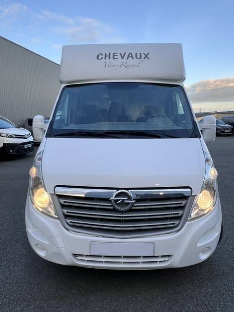 Horsebox HGV Opel OPEL MOVANO RUCEL 2011 Used