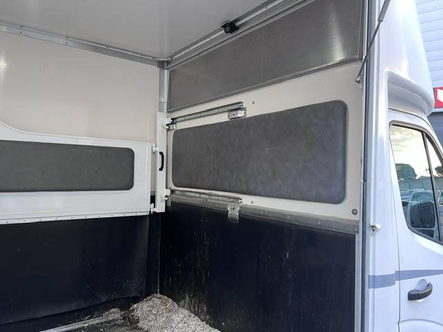 Horsebox HGV Opel OPEL MOVANO RUCEL 2011 Used