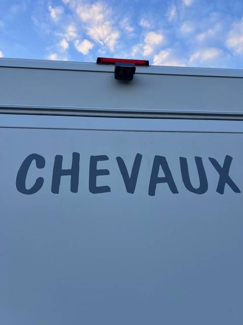 Horsebox HGV Opel OPEL MOVANO RUCEL 2011 Used