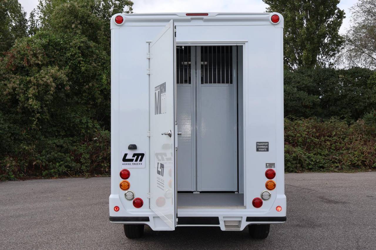 Horsebox HGV MTM MTM 2016 Used