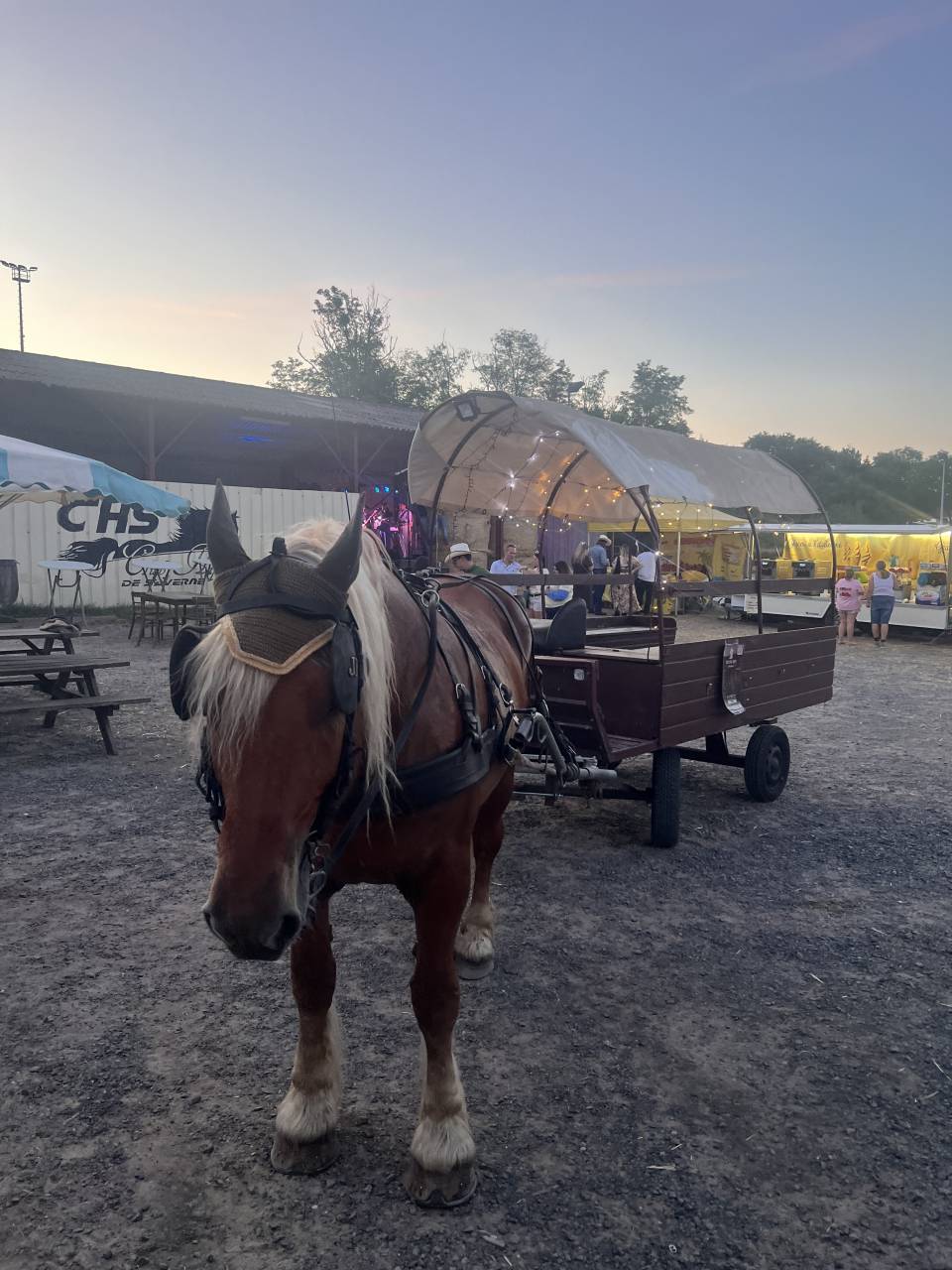 Carriage - Other carriage - Other brand -  