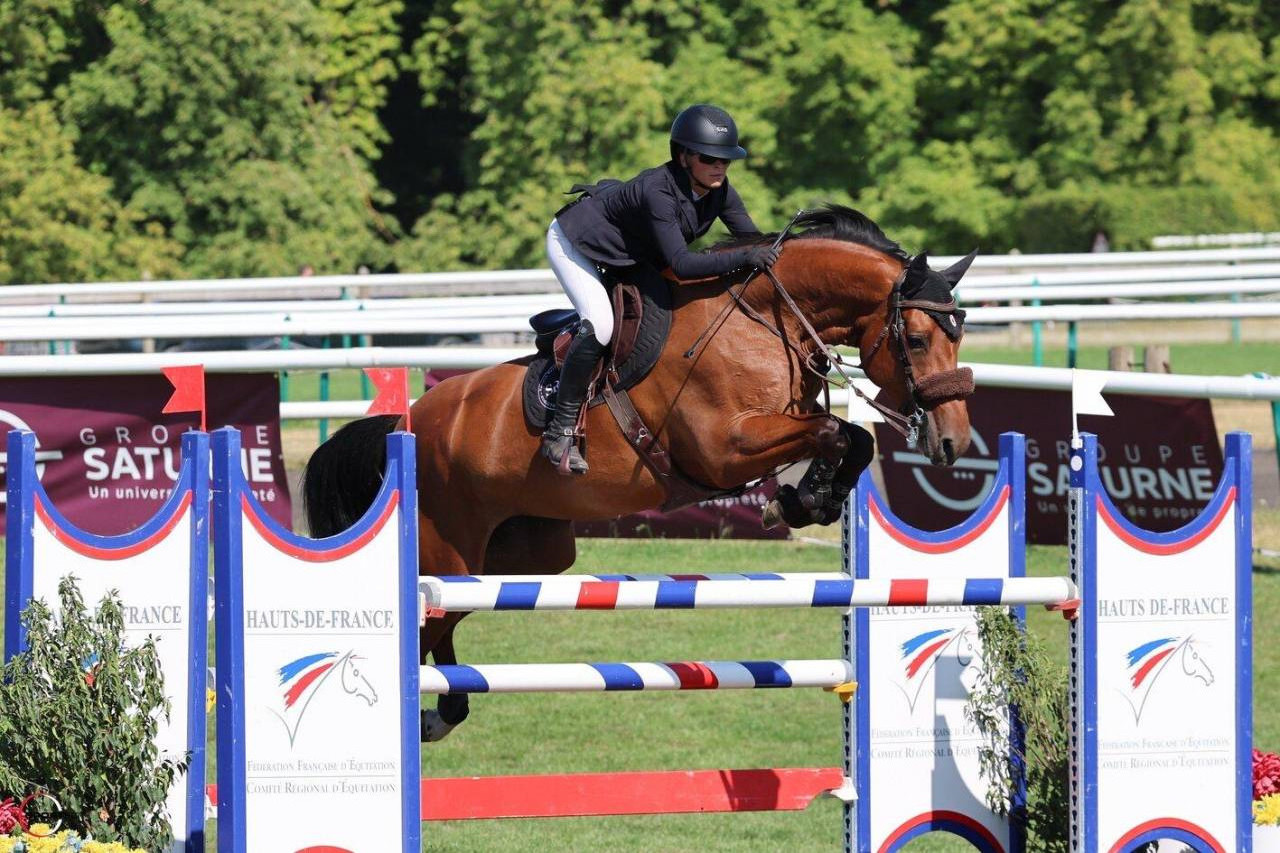 Mare Selle Fran&ccedil;ais For sale 2019 Bay