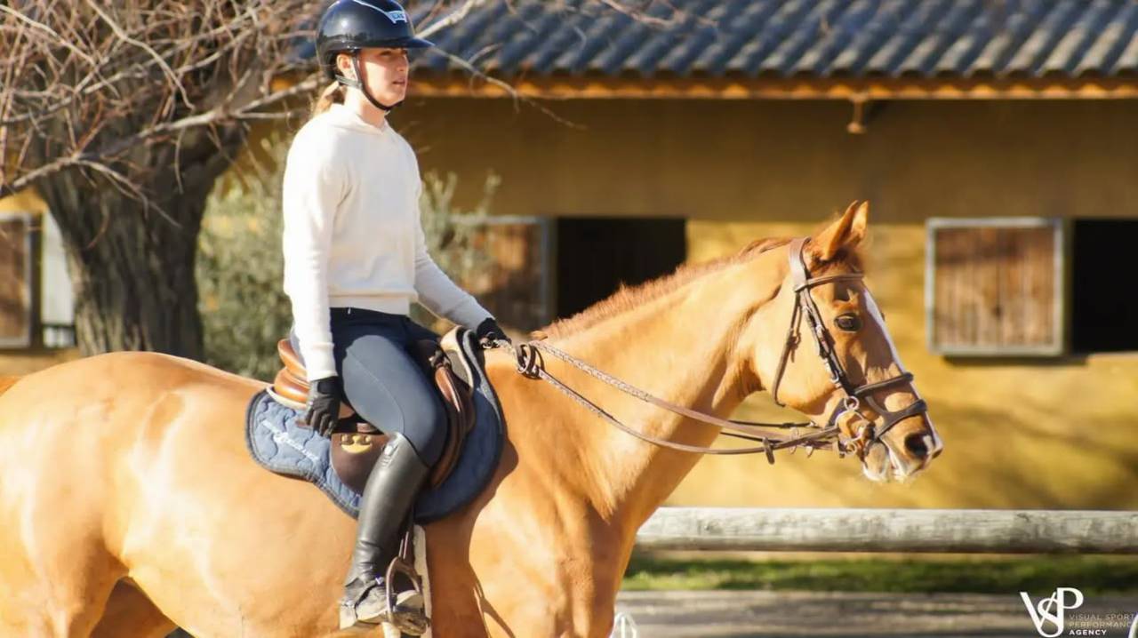 Mare Selle Fran&ccedil;ais For sale 2012 Chesnut
