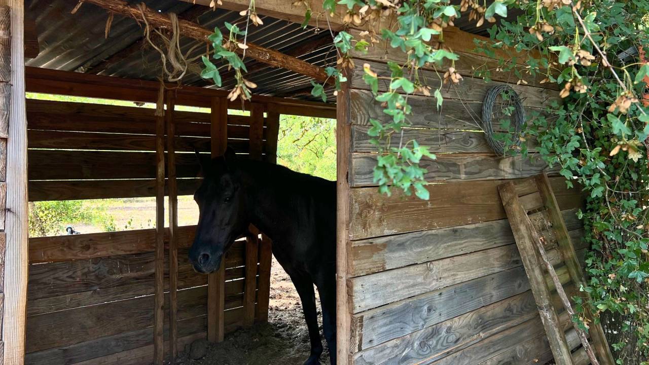 Equestrian property  Lot
