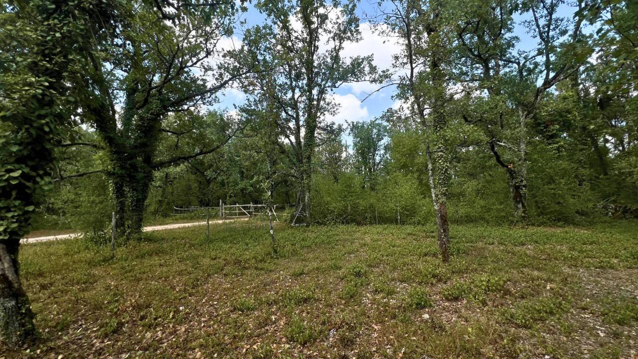 Equestrian property  Lot