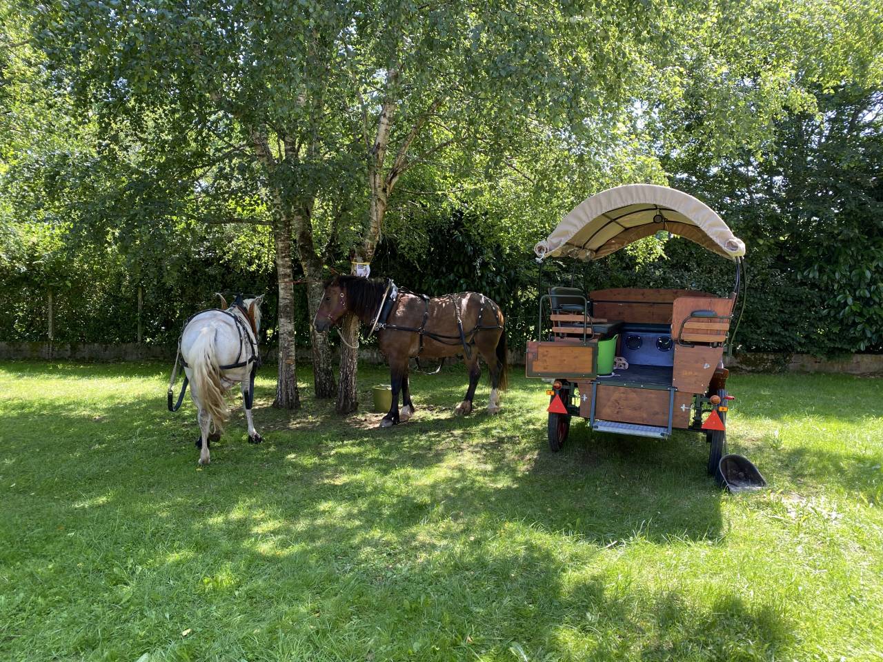 Carriage - Chariot   