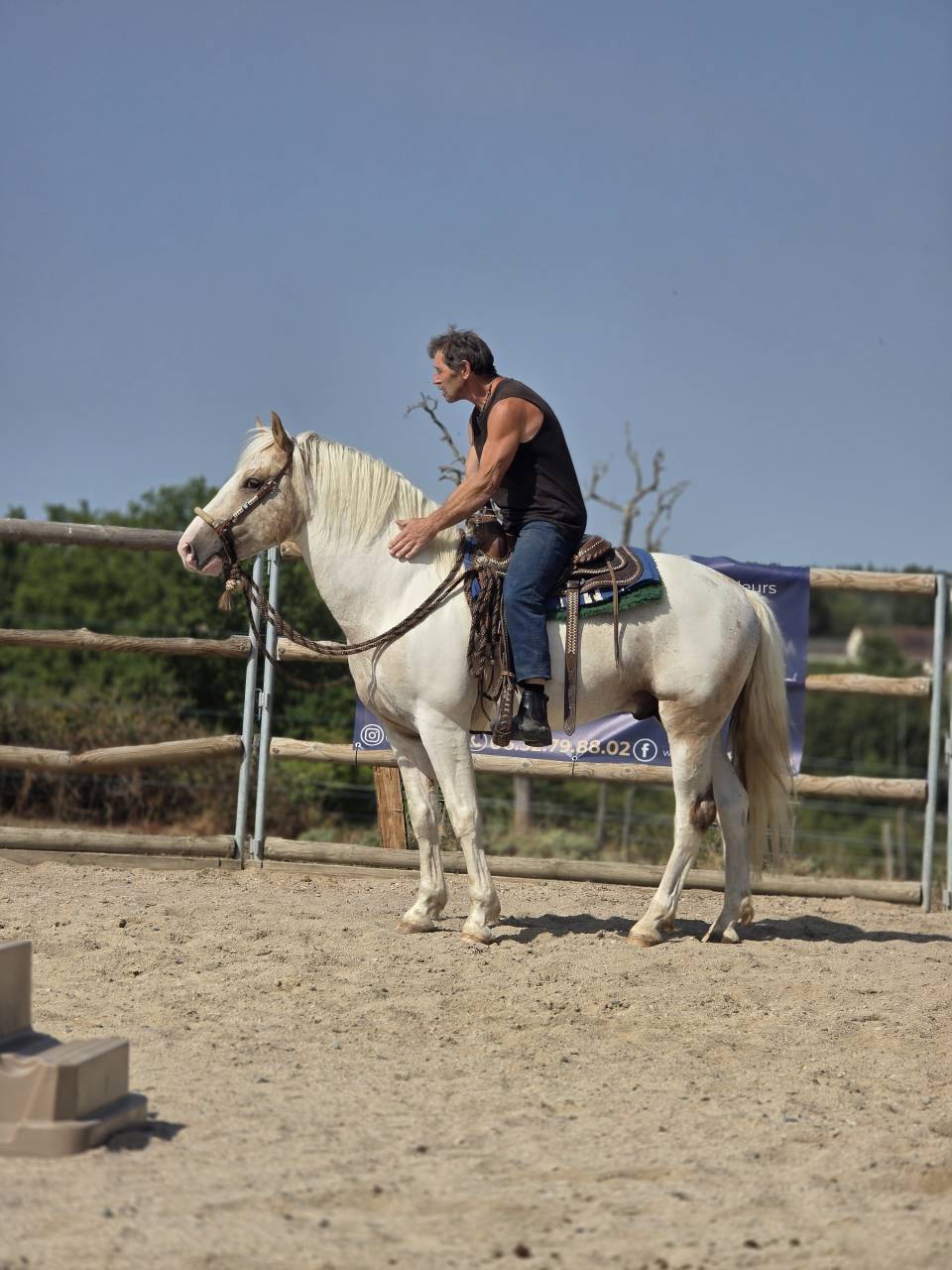 Entire Quarter For sale 2020 Palomino