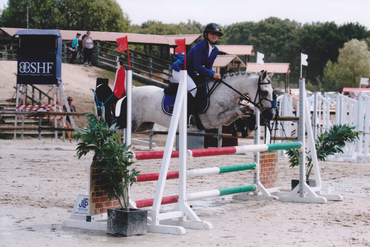 Broodmare Welsh Pony (Section B) For sale 2006 Grey