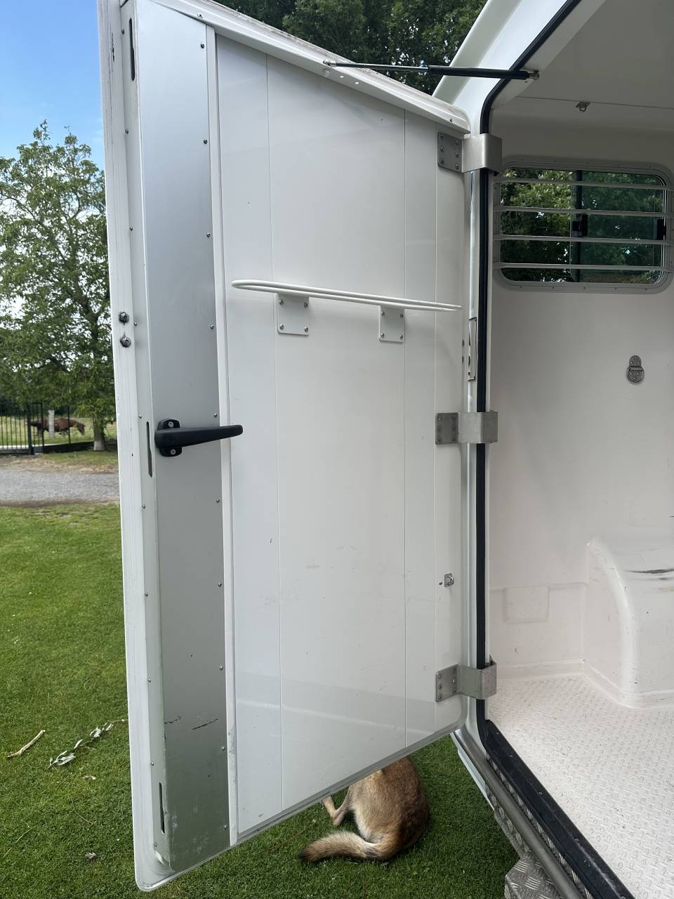 Horsebox HGV Renault Master  2020 Used