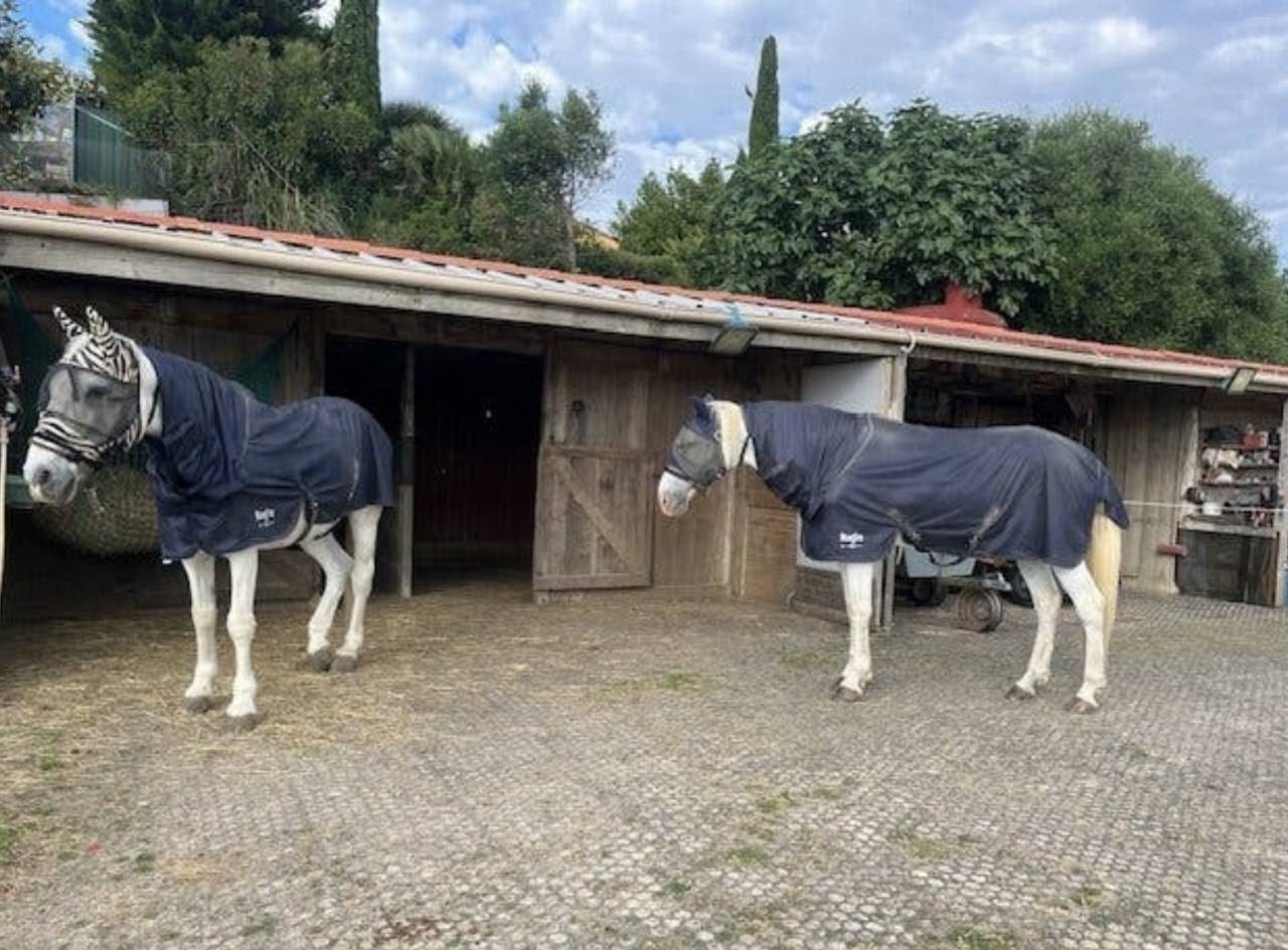 Luxurious equestrian property  Aude